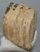 Mammuthus cf. meridionalis részleges fog (1807 gramm)