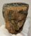 Mammuthus meridionalis tooth (1209 grams) Southern Mammoth