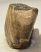 Mammuthus primigenius tooth (1478 grams) Woolly Mammoth