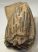 Mammuthus primigenius tooth (1478 grams) Woolly Mammoth