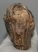 Mammuthus primigenius részleges fog (961 gramm)