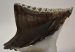 Mammuthus primigenius tooth (2077 grams) Woolly Mammoth