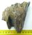 Mammuthus meridionalis tooth (510 grams) Southern mammoth