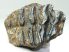Mammuthus meridionalis tooth (510 grams) Southern mammoth
