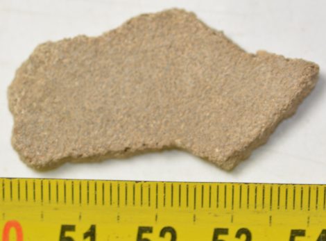 Saltasaurus sp. Dinosaurus Eggshell ( 41,6 mm x 23,3 mm)