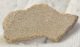 Saltasaurus sp. Dinosaurus Eggshell ( 41,6 mm x 23,3 mm)