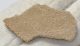 Saltasaurus sp. Dinosaurus Eggshell ( 41,6 mm x 23,3 mm)