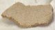 Saltasaurus sp. Dinosaurus Eggshell ( 41,6 mm x 23,3 mm)