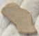 Saltasaurus sp. Dinosaurus Eggshell ( 41,6 mm x 23,3 mm)