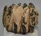 Mammuthus meridionalis partial tooth (1358 grams)