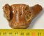 Seal partial vertebra bone from Netherland