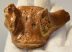 Seal partial vertebra bone from Netherland