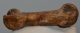  Seal (Pagophilus groenlandicus?) partial femur bone