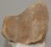 Mammuthus sp. részleges lunatum csont