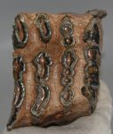 Mammuthus meridionalis partial tooth (1519 grams)
