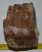 Mammuthus meridionalis partial tooth (1519 grams)