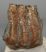 Mammuthus meridionalis partial tooth (1519 grams)