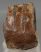 Mammuthus meridionalis partial tooth (1519 grams)