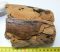 Mammuthus meridionalis partial tusk (735 grams)  SOLD (LL B) 04