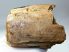 Mammuthus meridionalis részleges agyar (735 gramm)  ELFOGYOTT (LL B) 04