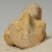 Ursus spelaeus metapodium csont (69,1 mm) barlangi medve