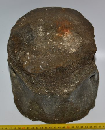 Balenoptera sp. partial Whale vertebra (6,1 Kg)