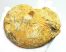 Macrocephalites ammonites Lengyelországból (834 gramm)  ELFOGYOTT (UW) 03