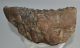Mammuthus meridionalis partial tooth (2508 grams) SOLD (E) 10 Mammuthus meridionalis partial tooth (2508 grams) SOLD (E) 10