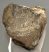 Mammuthus meridionalis partial tooth (2508 grams) SOLD (E) 10 Mammuthus meridionalis partial tooth (2508 grams) SOLD (E) 10