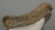 Mammuthus meridionalis részleges borda csont (271 mm)