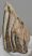 Mammuthus sp. partial upper tooth (949 grams) SOLD (J) 09