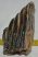 Mammuthus sp. partial upper tooth (949 grams) SOLD (J) 09
