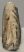 Mammuthus sp. partial upper tooth (949 grams) SOLD (J) 09