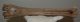 Megaloceros giganteus metatarsus csont (358 mm)