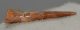Onchopristis numidus sawfish tooth