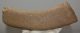 Alces latifrons részleges agancs (227 mm)