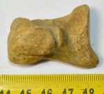  Ursus spelaeus hand bone (44,5 x 30,5 x 27 mm)