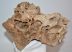 Mammuthus sp. részleges koponya csont (273 mm) ELFOGYOTT (LL B) 08