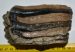 Mammuthus meridionalis részleges fog (1116 gramm) ELFOGYOTT (EB) 04