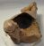 Hiéna által megrágott Bison priscus részleges humerus csont Hiéna által megrágott Bison priscus részleges humerus csont