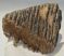 Mammuthus primigenius részleges fog (1556 gramm)
