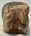 Mammuthus primigenius részleges fog (1556 gramm)