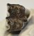 Bison sp. bölény fog (42 mm x 28 mm x 26 mm)