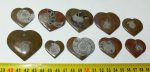 10 db ammoniteszes szív alakú medál