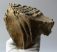 Mammuthus primigenius tooth (1086 grams) Woolly Mammoth