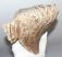 Mammuthus primigenius tooth (1086 grams) Woolly Mammoth