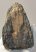 Mammuthus primigenius részleges fog (725 gramm) Mammuthus primigenius részleges fog (725 gramm)