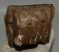 Mammuthus meridionalis tooth (2676 grams) Southern Mammoth