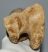 Equus sp. partial humerus bone SOLD (NR) 04