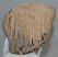 Mammuthus primigenius fog (1570 gramm) gyapjas mamut